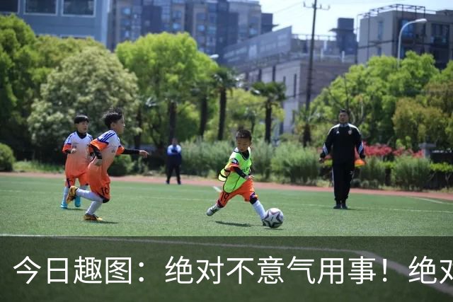 今日趣图：绝对不意气用事！绝对不漏判任何错事！马宁前来晋见